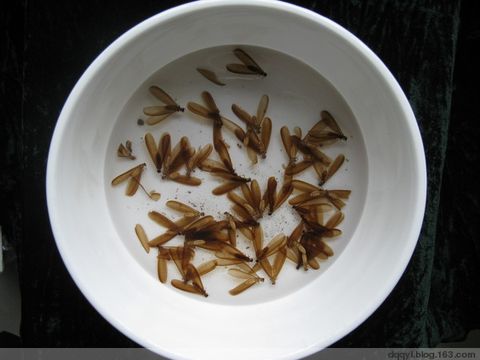 櫥柜五金